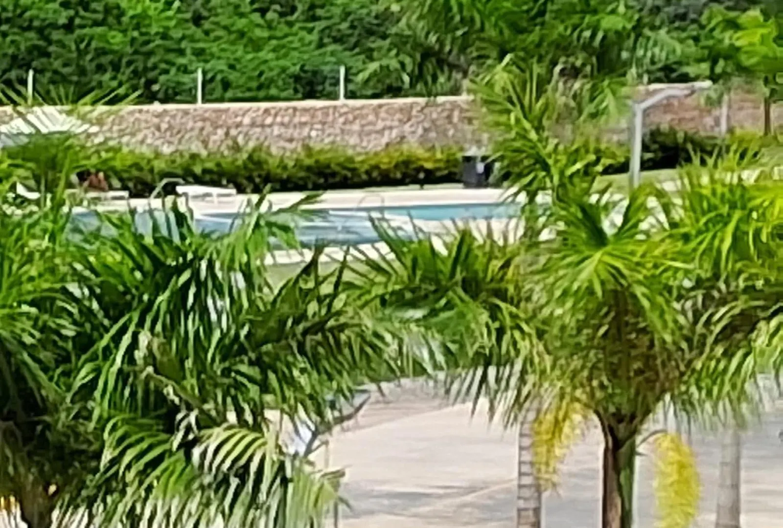 Pool View Punta Cana Dominican Republic